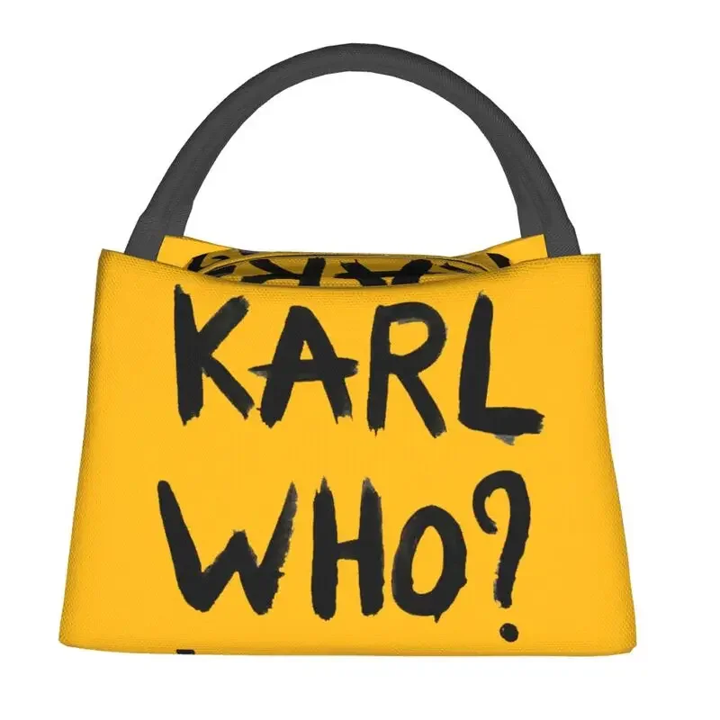 칼, 직장용 보온 도시락 가방을 제작하다 - 재사용 가 - Women'S Karl Bags 리뷰 및 가격